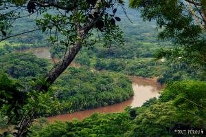 Rivière Mayo Pérou